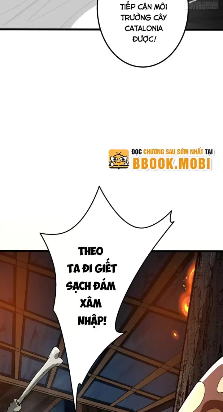 Ta, Chúa Tể Rừng Xanh Chapter 6 - 71