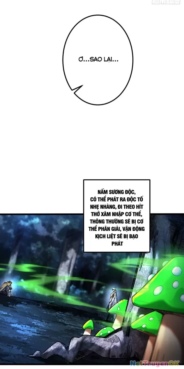 Ta, Chúa Tể Rừng Xanh Chapter  8 - 29