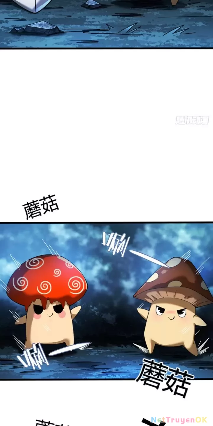 Ta, Chúa Tể Rừng Xanh Chapter  8 - 35