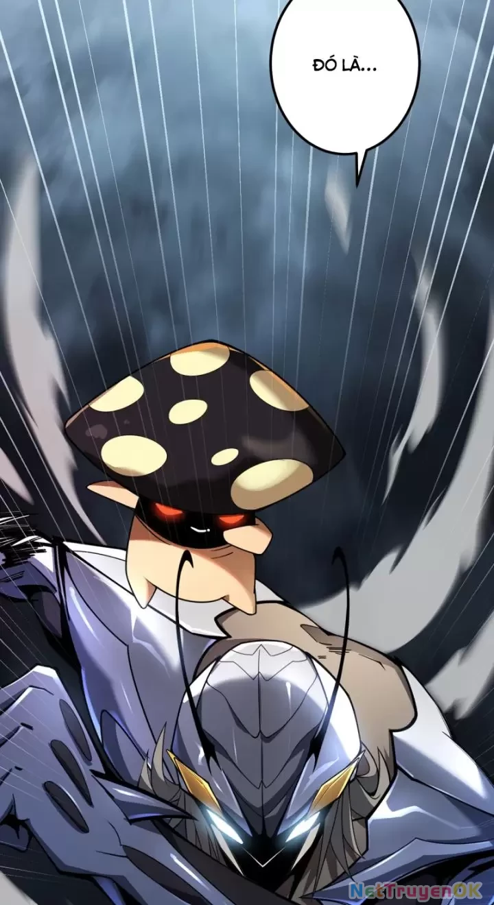 Ta, Chúa Tể Rừng Xanh Chapter  8 - 44