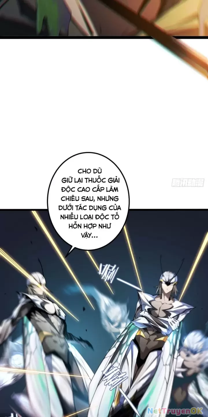 Ta, Chúa Tể Rừng Xanh Chapter  8 - 49