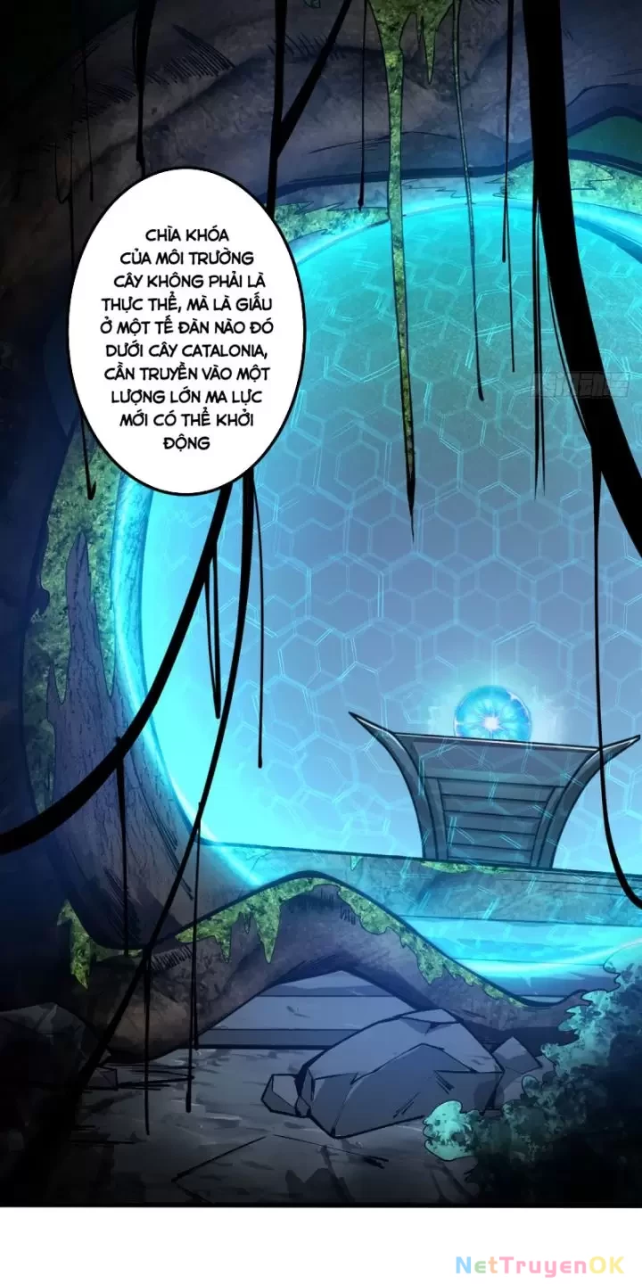 Ta, Chúa Tể Rừng Xanh Chapter  10 - 4