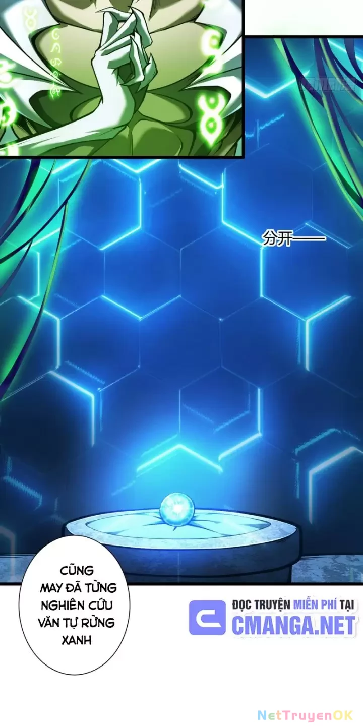 Ta, Chúa Tể Rừng Xanh Chapter 11 - 27