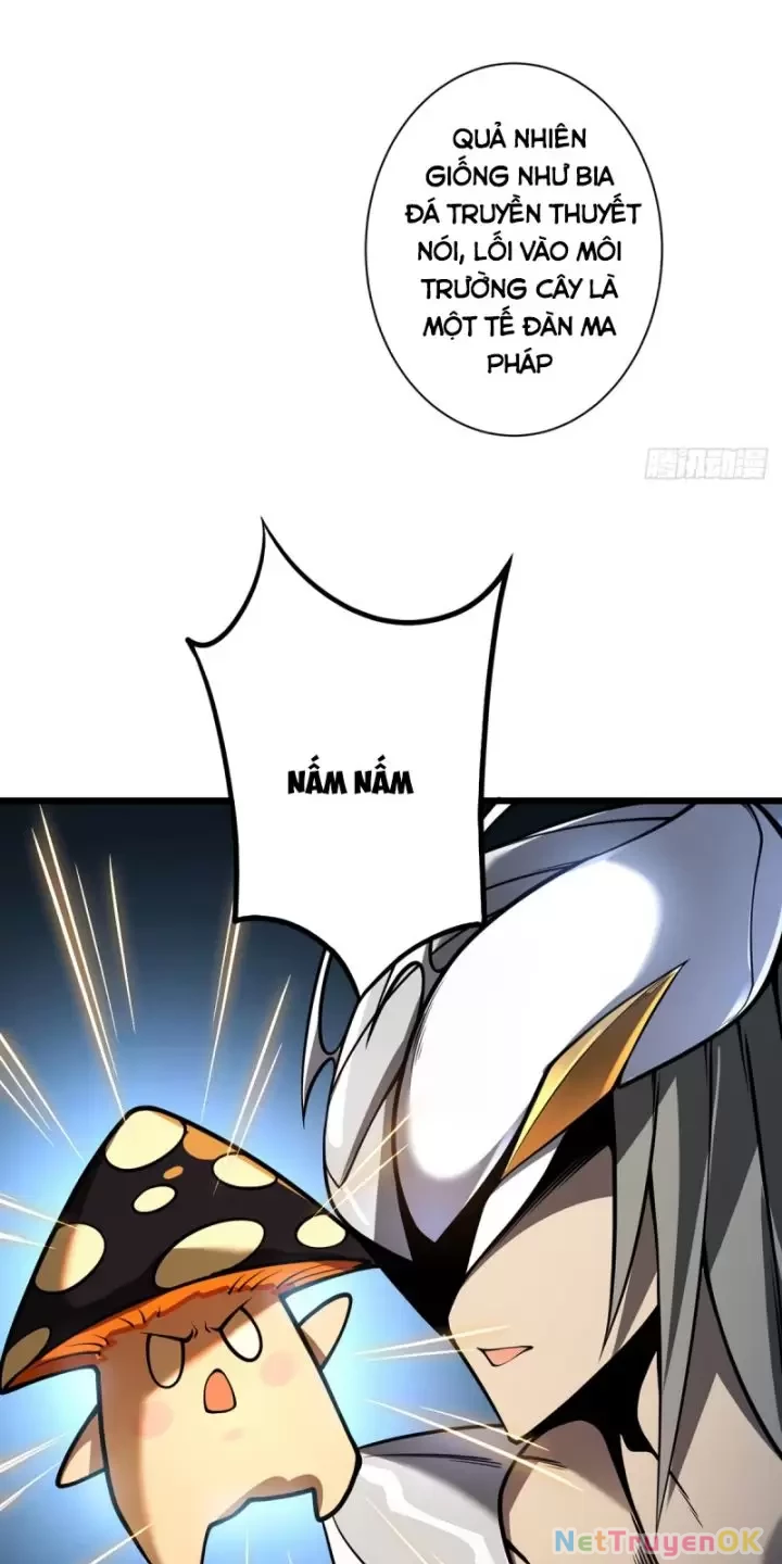 Ta, Chúa Tể Rừng Xanh Chapter 11 - 28