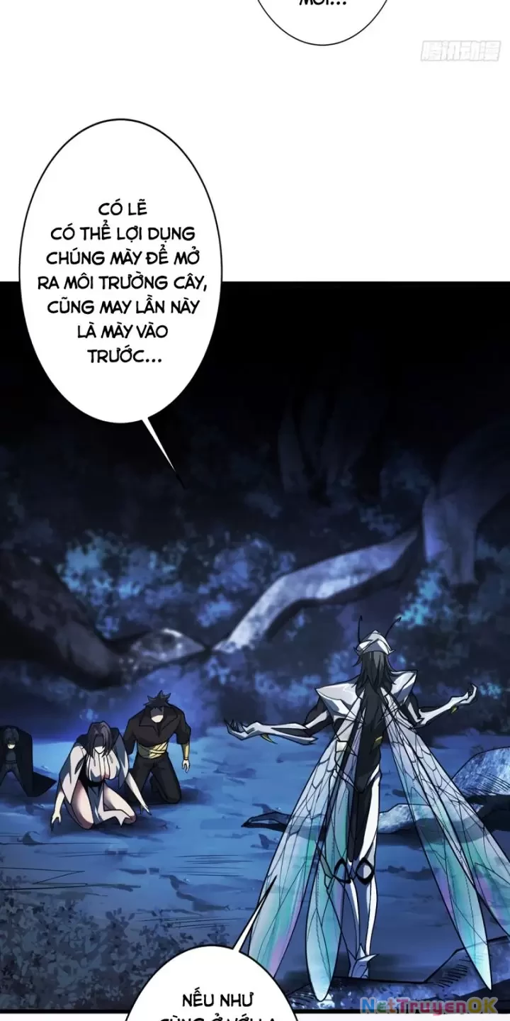 Ta, Chúa Tể Rừng Xanh Chapter 12 - 26