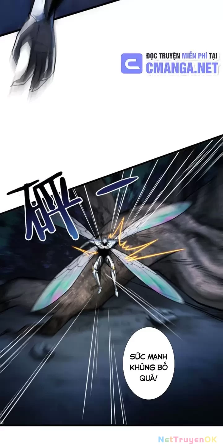 Ta, Chúa Tể Rừng Xanh Chapter  13 - 20