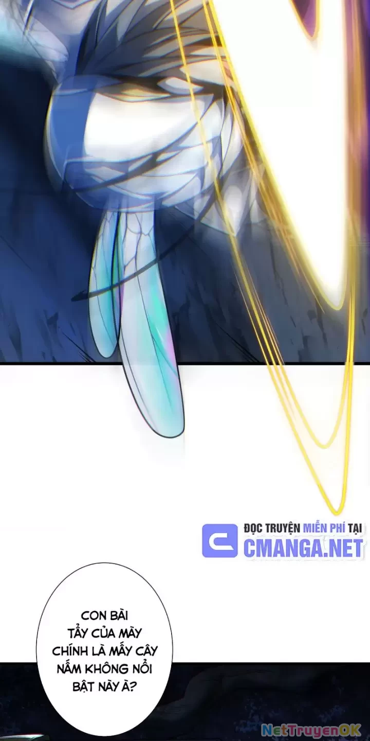 Ta, Chúa Tể Rừng Xanh Chapter  13 - 29