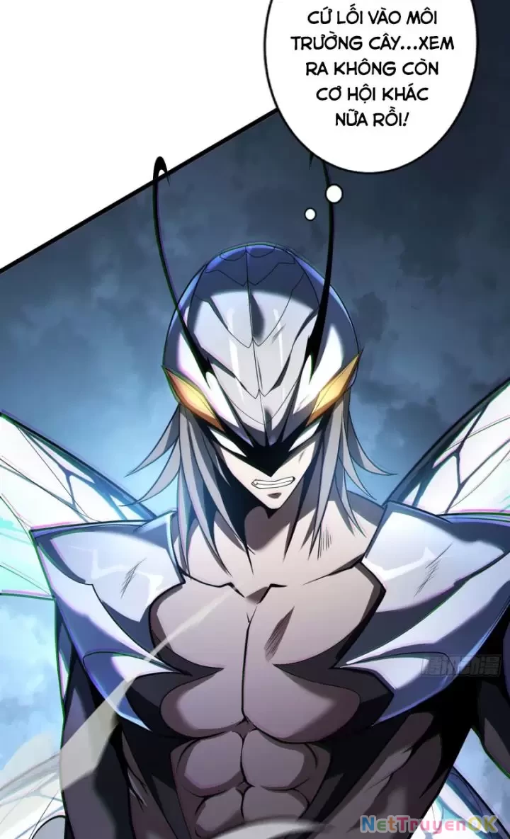 Ta, Chúa Tể Rừng Xanh Chapter  14 - 12