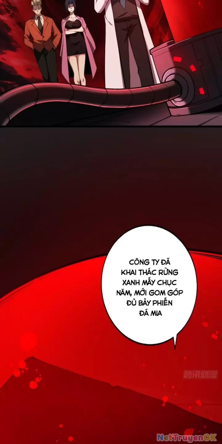 Ta, Chúa Tể Rừng Xanh Chapter 16 - 4