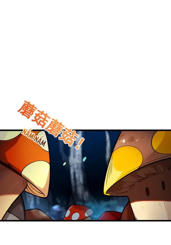Ta, Chúa Tể Rừng Xanh Chapter 16 - 30