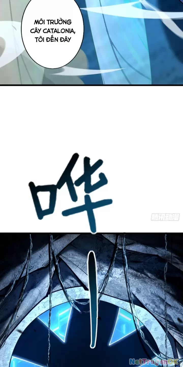 Ta, Chúa Tể Rừng Xanh Chapter 16 - 34