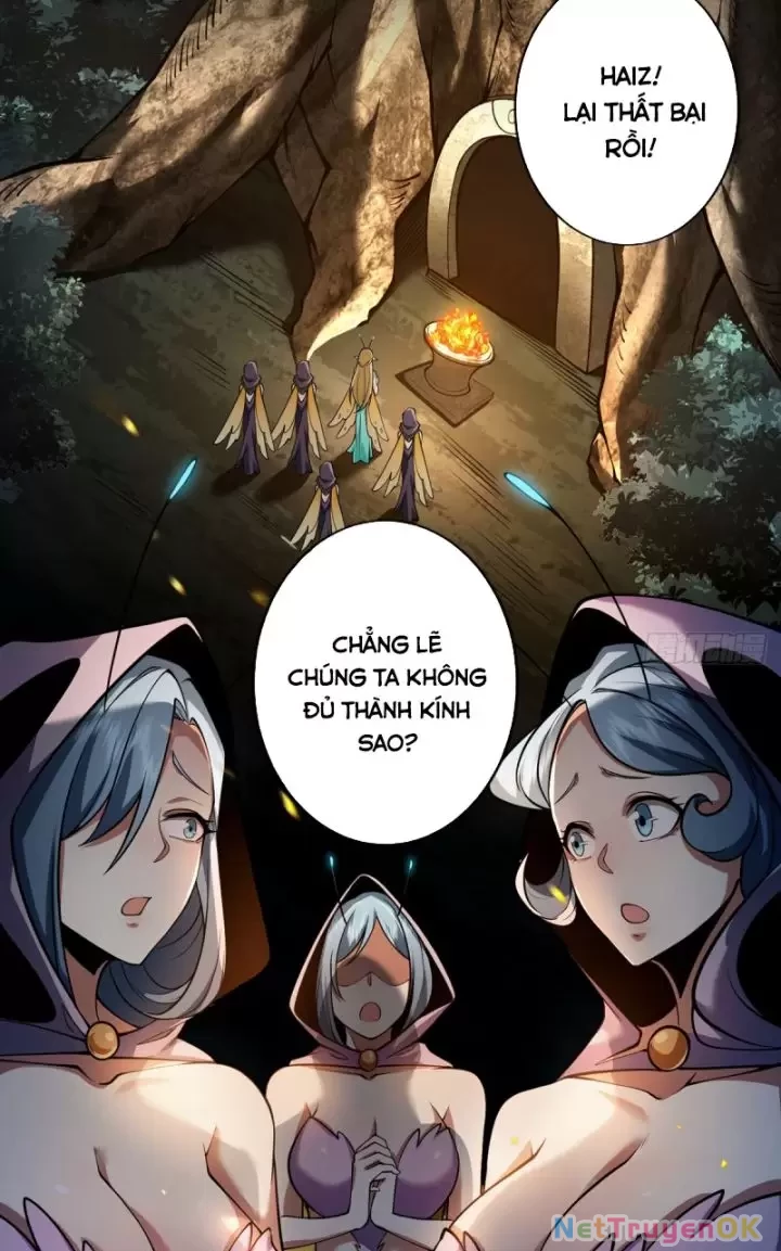 Ta, Chúa Tể Rừng Xanh Chapter 16 - 42