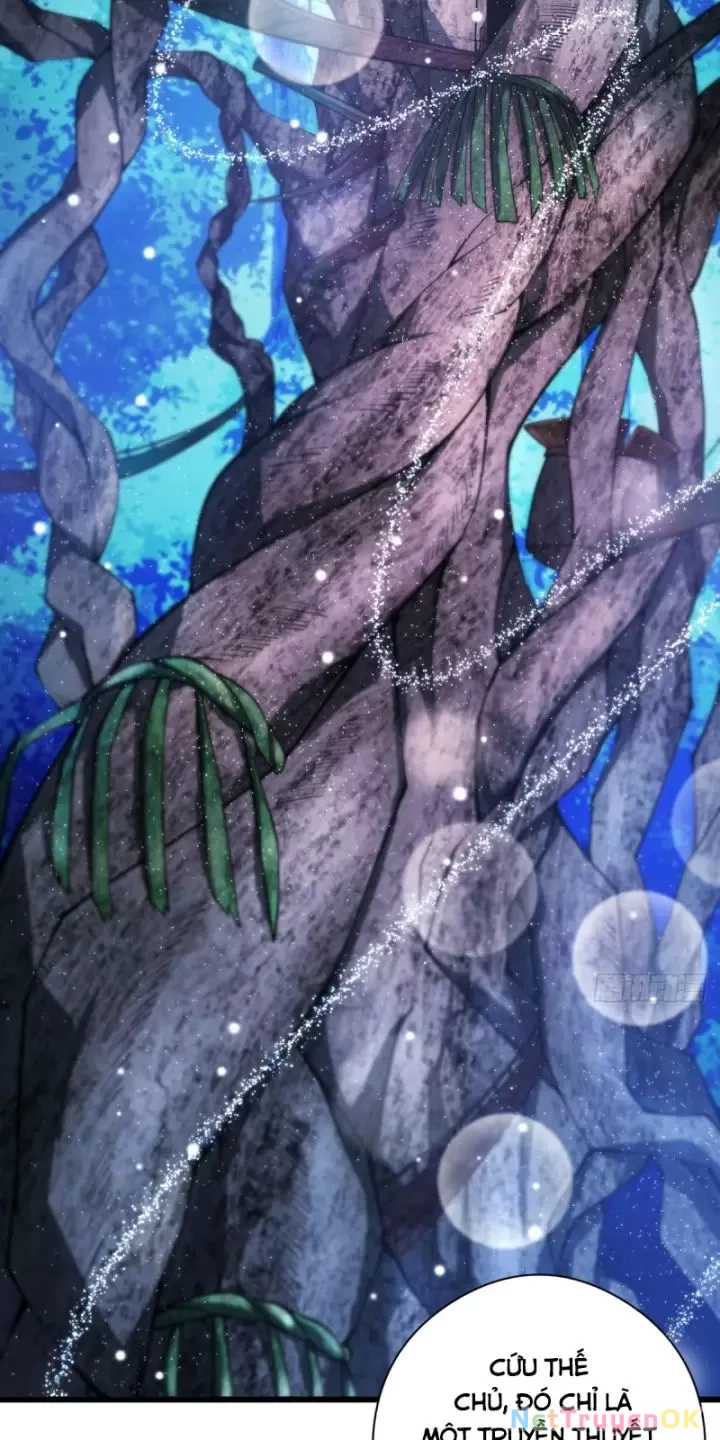 Ta, Chúa Tể Rừng Xanh Chapter  17 - 16