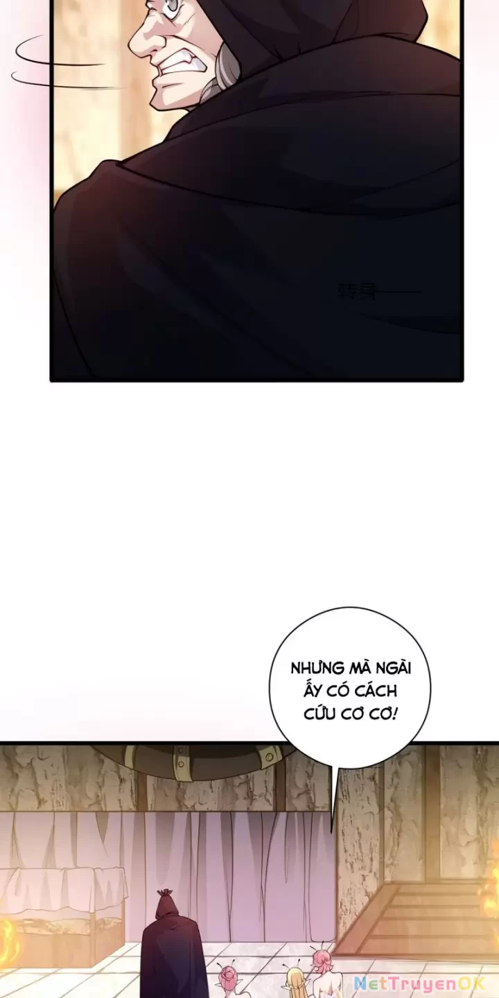 Ta, Chúa Tể Rừng Xanh Chapter  17 - 21