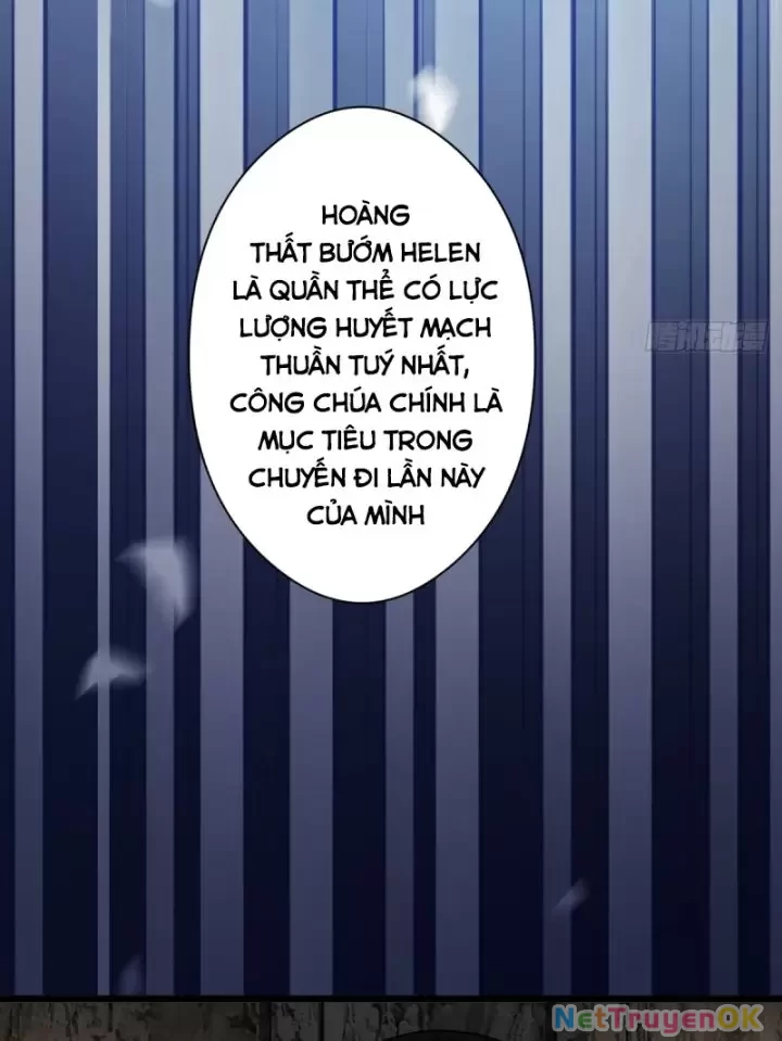 Ta, Chúa Tể Rừng Xanh Chapter  17 - 35