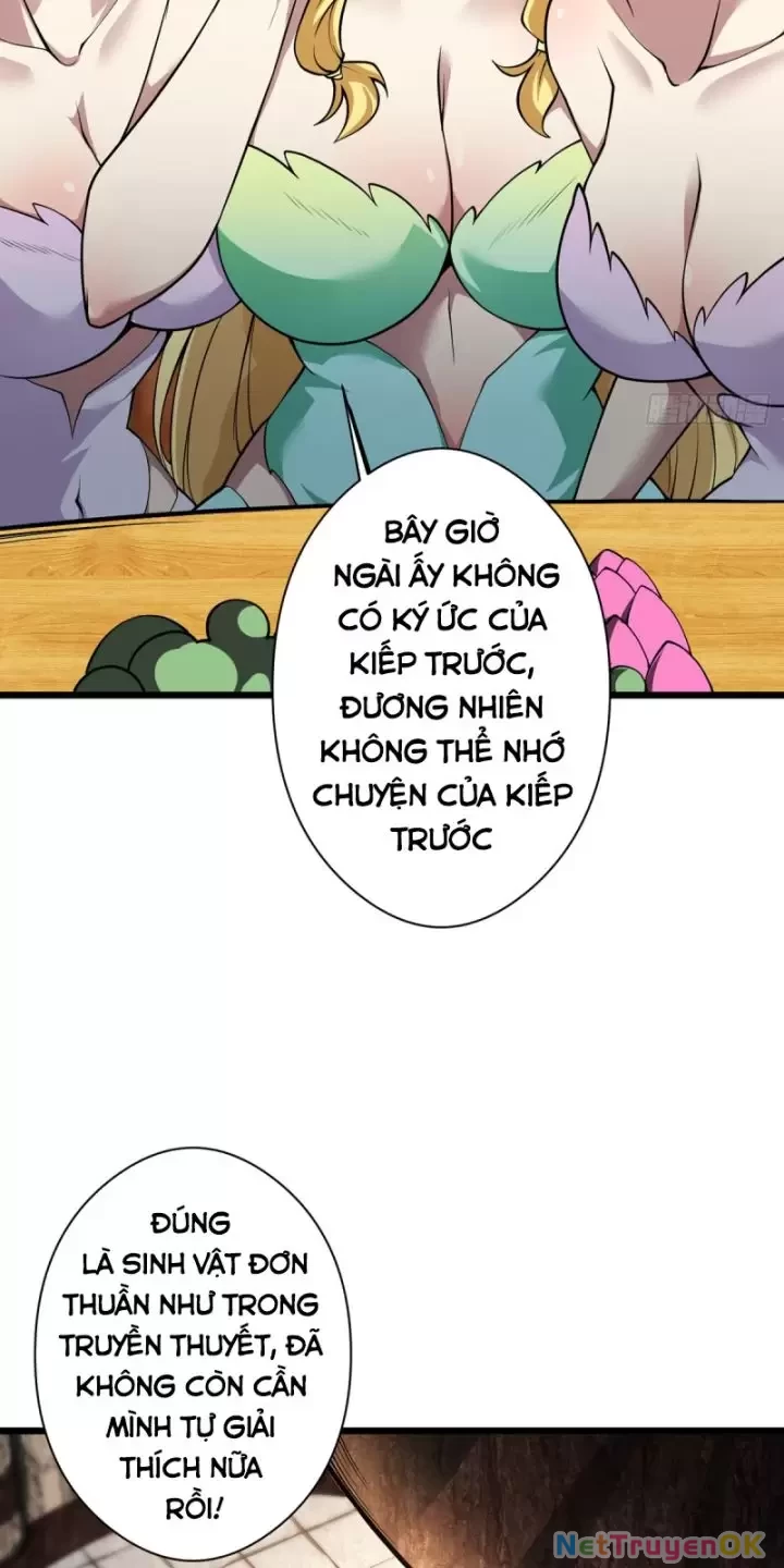 Ta, Chúa Tể Rừng Xanh Chapter  17 - 39