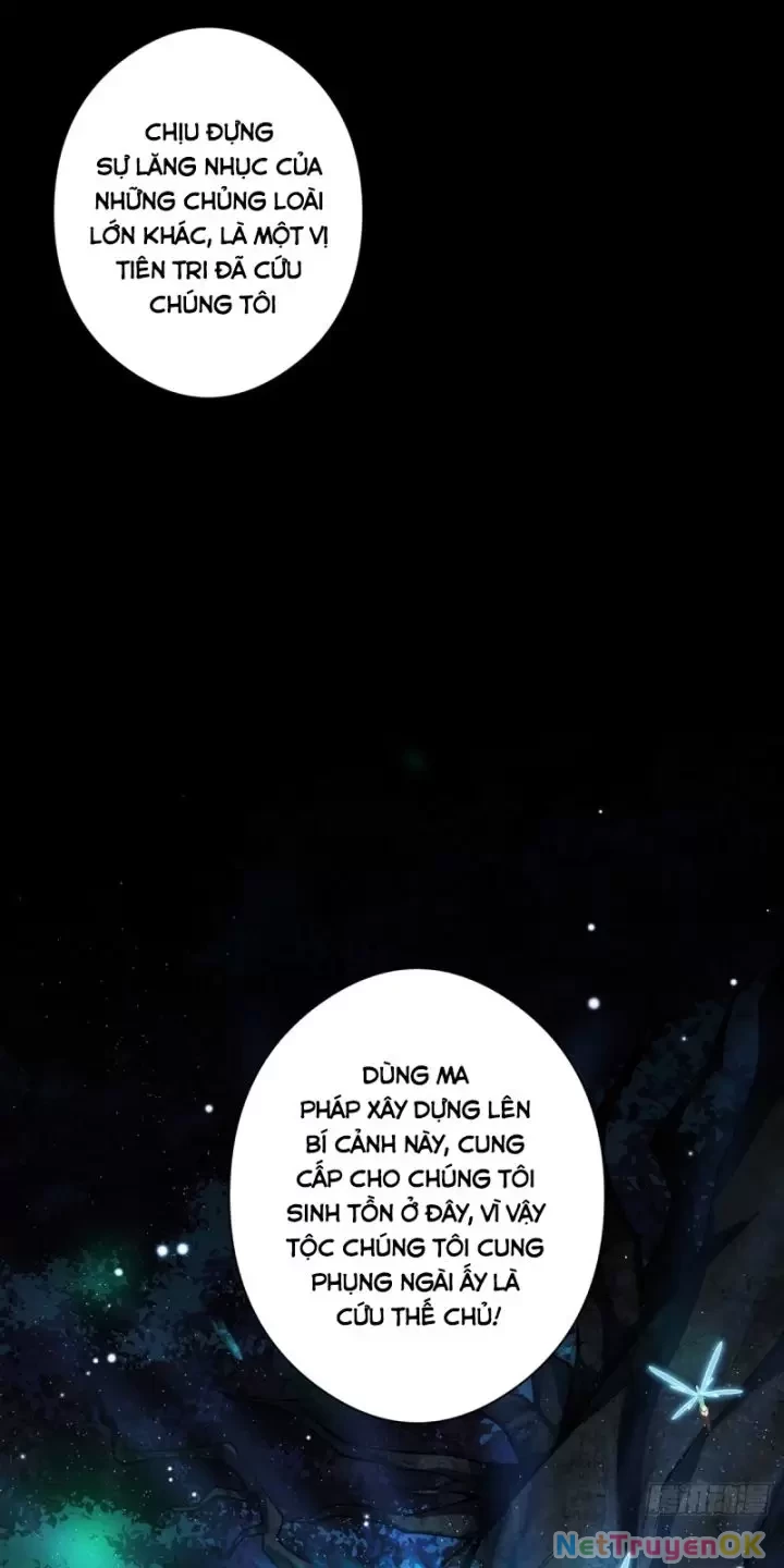 Ta, Chúa Tể Rừng Xanh Chapter  17 - 44
