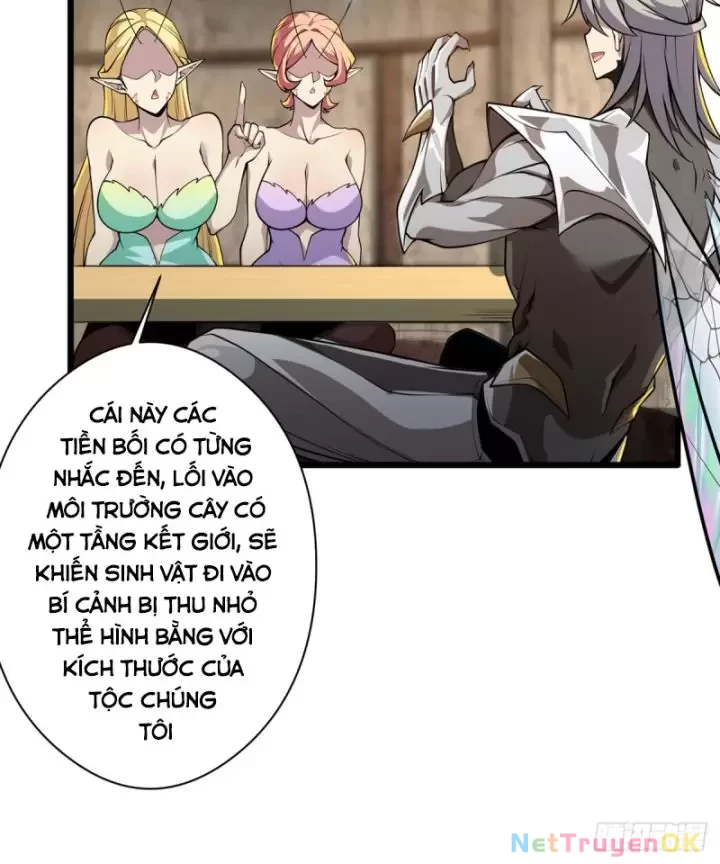 Ta, Chúa Tể Rừng Xanh Chapter  17 - 48