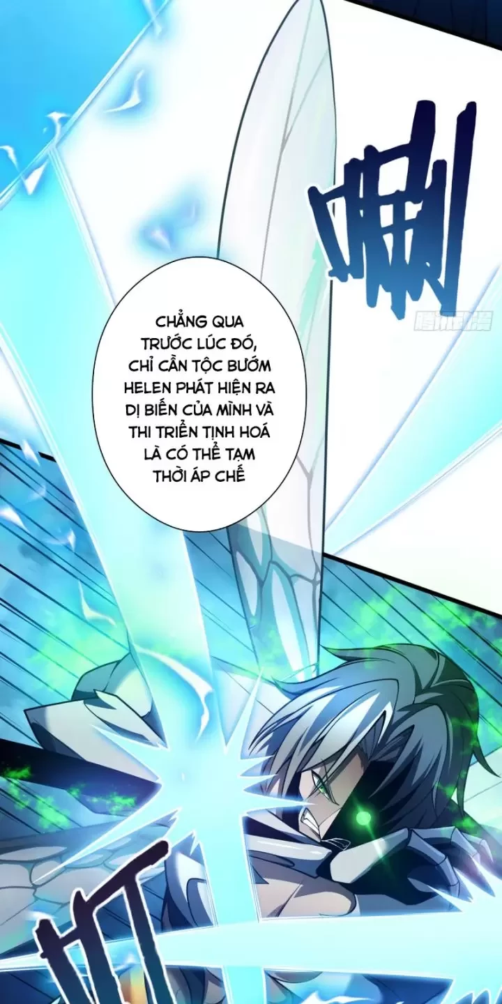 Ta, Chúa Tể Rừng Xanh Chapter  19 - 33