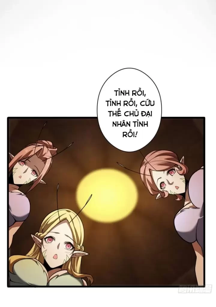 Ta, Chúa Tể Rừng Xanh Chapter 20 - 37
