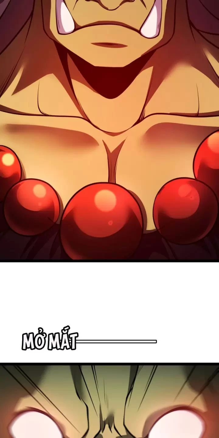 Ta, Chúa Tể Rừng Xanh Chapter  26 - 47