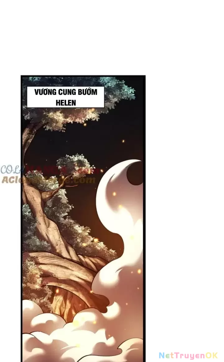 Ta, Chúa Tể Rừng Xanh Chapter 28 - 12