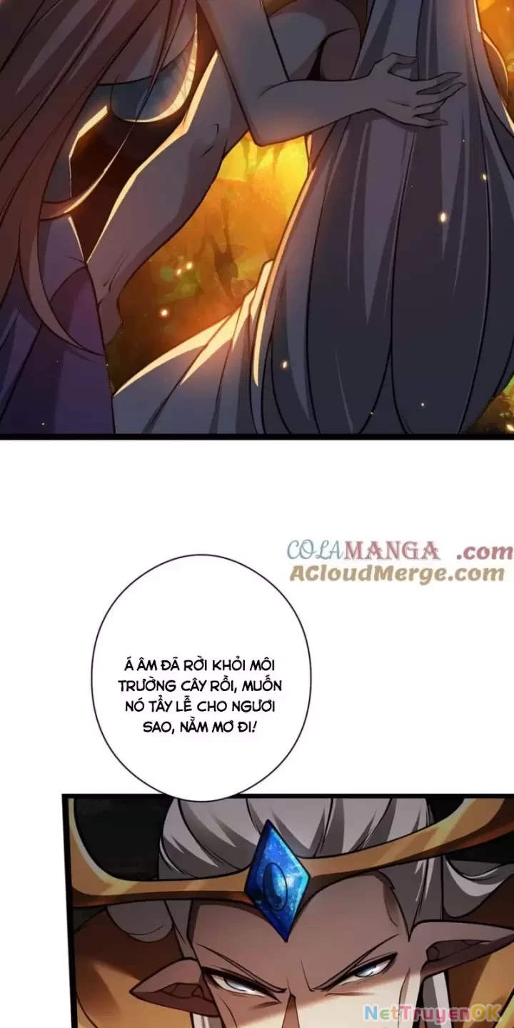 Ta, Chúa Tể Rừng Xanh Chapter 28 - 15