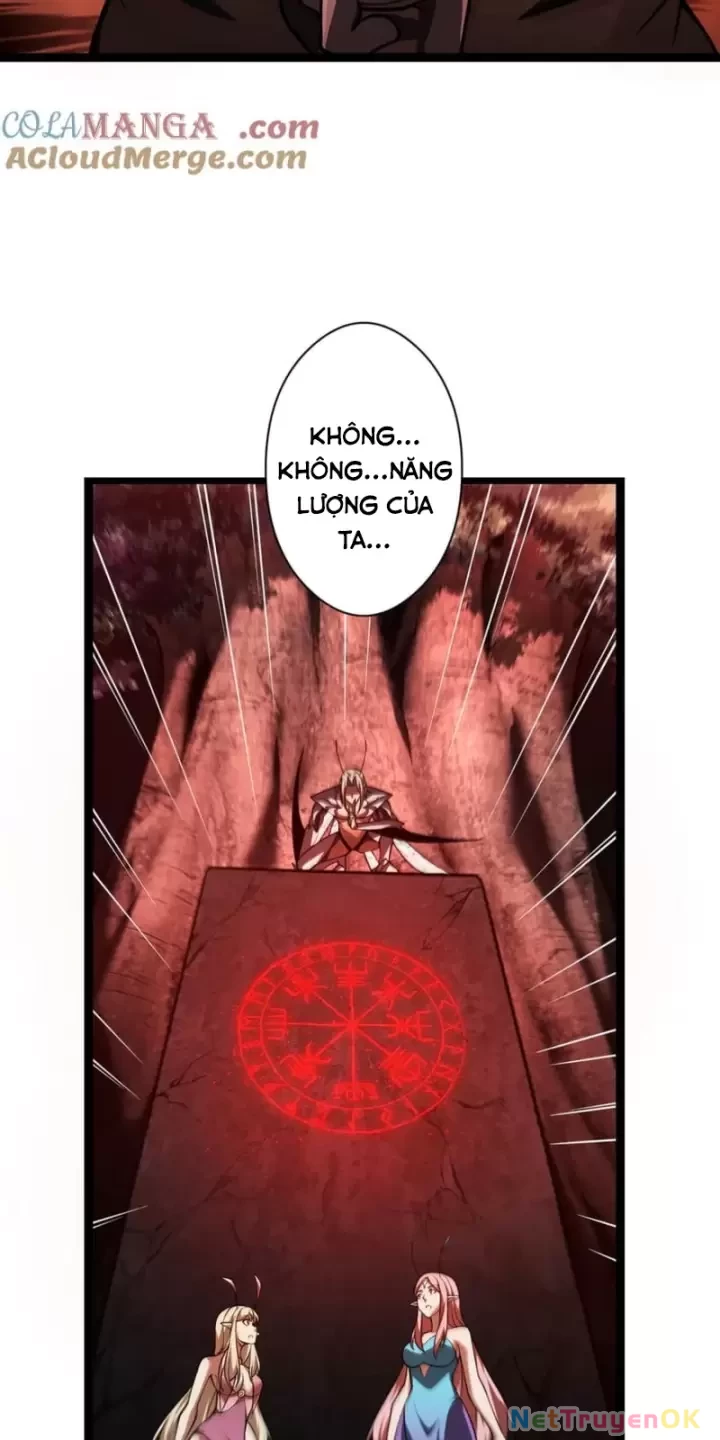 Ta, Chúa Tể Rừng Xanh Chapter 31 - 41