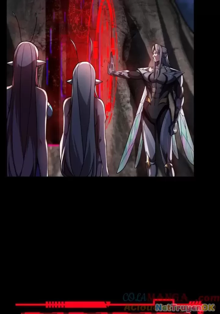 Ta, Chúa Tể Rừng Xanh Chapter  32 - 37