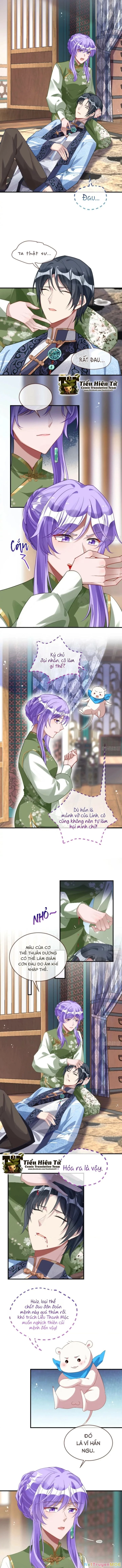 Vạn Tra Triêu Hoàng Chapter 654 - 4