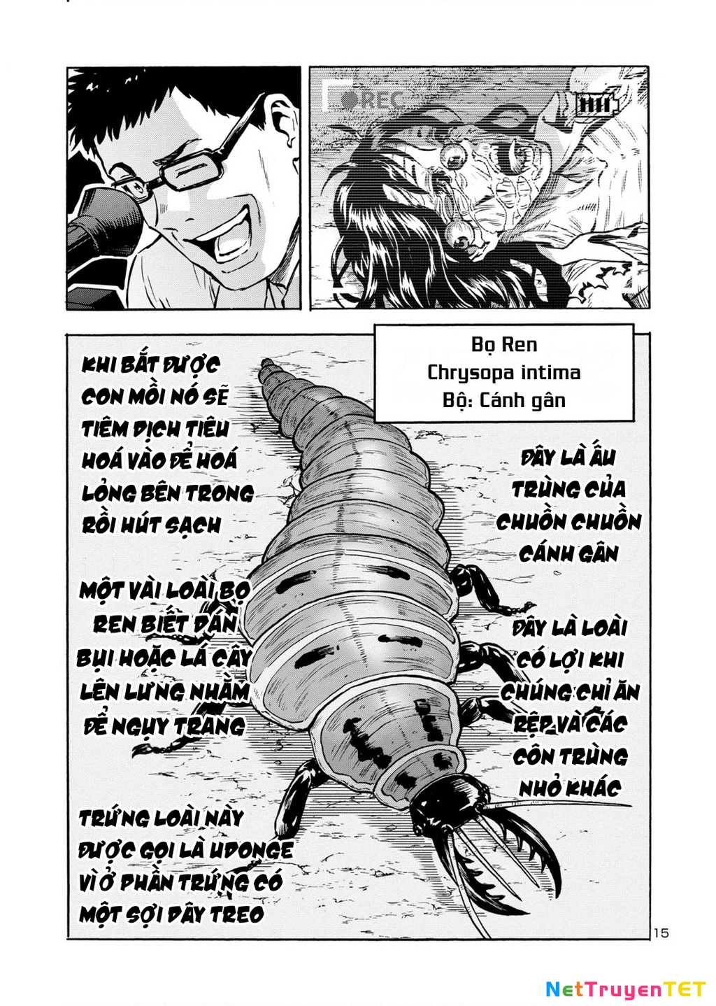 Siêu Đảo Côn Trùng Chapter 42.5 - 17