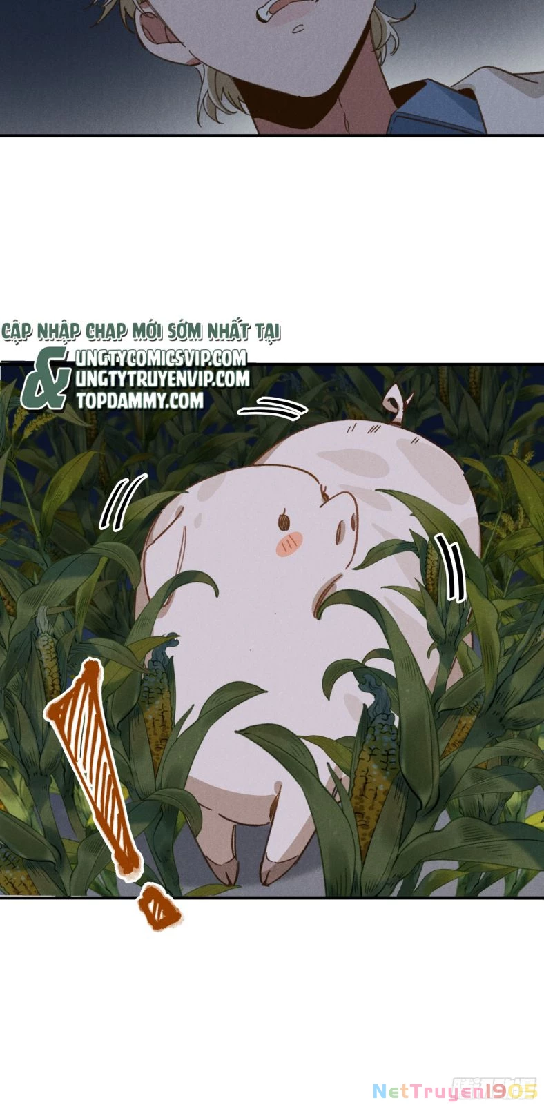 Tôi Không Cùng Anh Đến Vùng Đất Bắp Ngô Đâu! Chapter 4 - 19