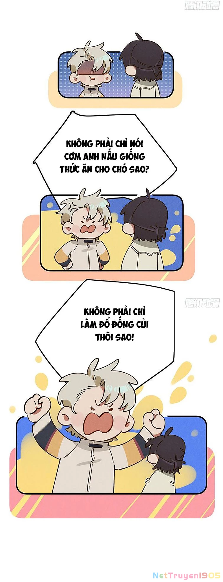 Tôi Không Cùng Anh Đến Vùng Đất Bắp Ngô Đâu! Chapter 5 - 16