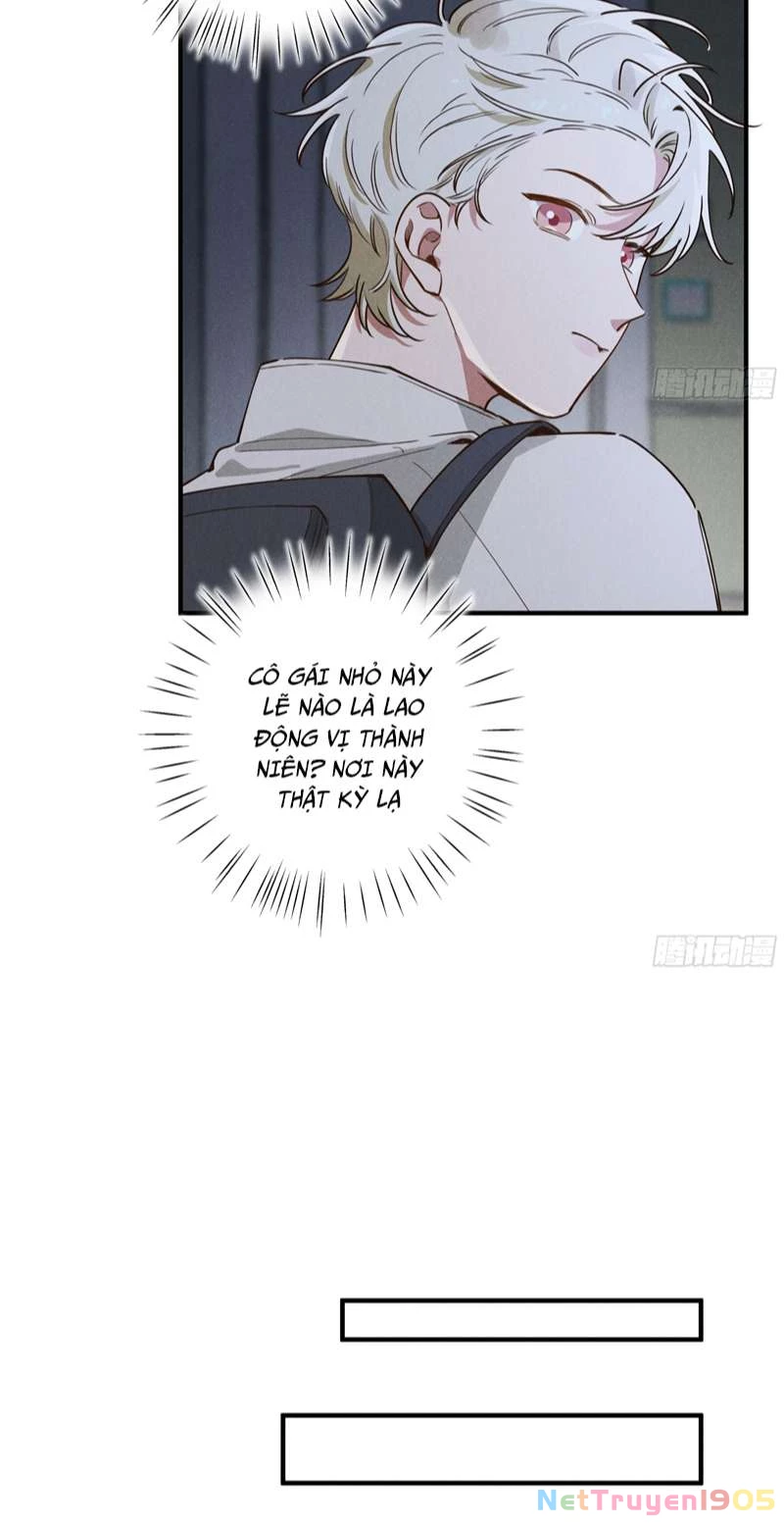 Tôi Không Cùng Anh Đến Vùng Đất Bắp Ngô Đâu! Chapter 6 - 13