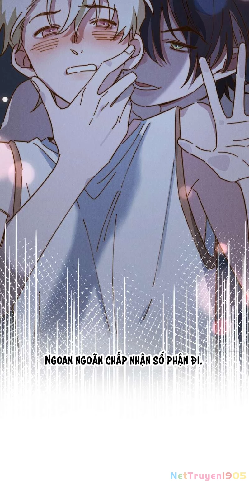 Tôi Không Cùng Anh Đến Vùng Đất Bắp Ngô Đâu! Chapter 8 - 31