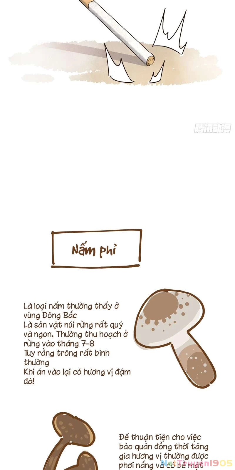 Tôi Không Cùng Anh Đến Vùng Đất Bắp Ngô Đâu! Chapter 8 - 50