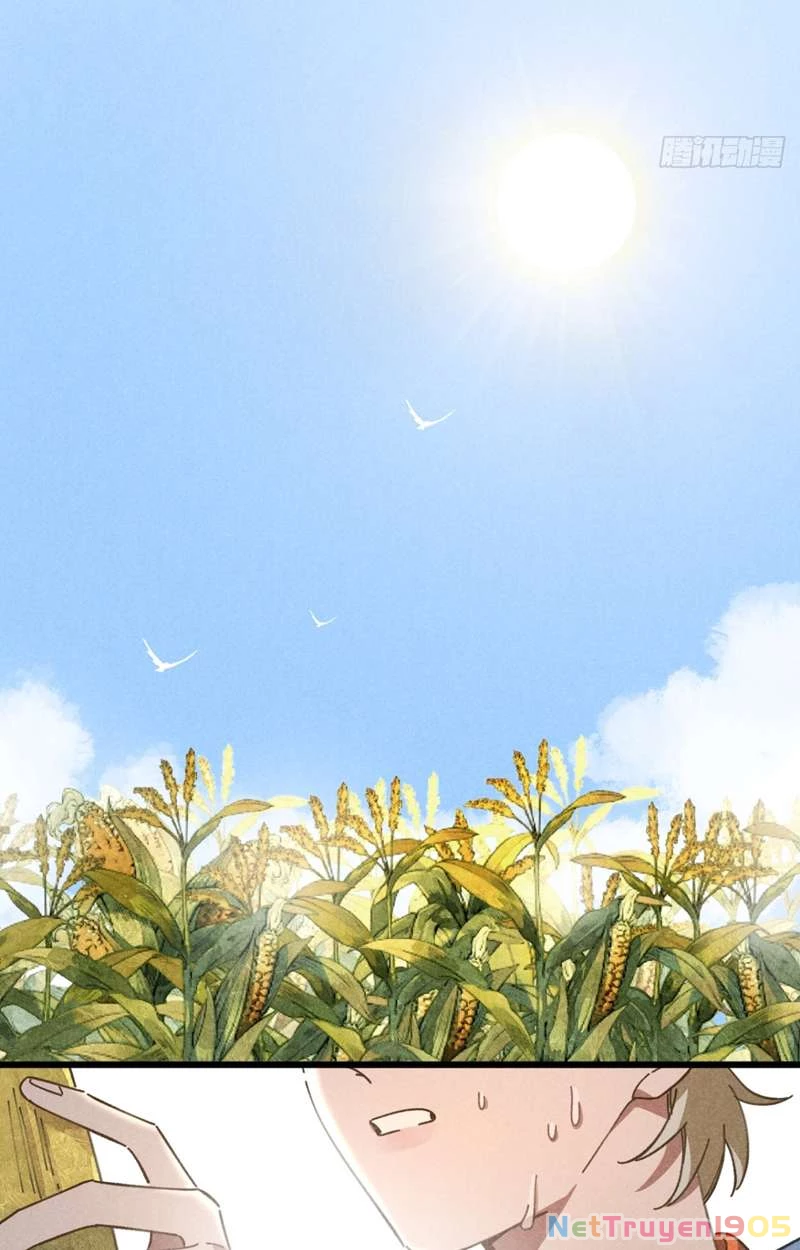 Tôi Không Cùng Anh Đến Vùng Đất Bắp Ngô Đâu! Chapter 19 - 12