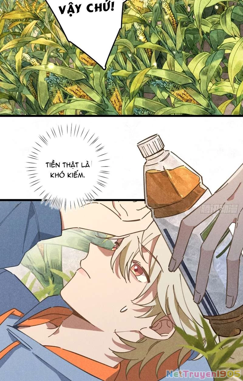 Tôi Không Cùng Anh Đến Vùng Đất Bắp Ngô Đâu! Chapter 19 - 15