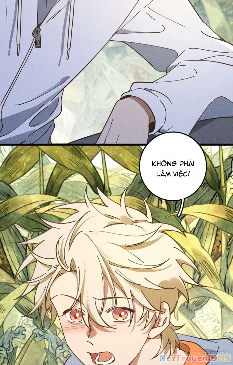 Tôi Không Cùng Anh Đến Vùng Đất Bắp Ngô Đâu! Chapter 19 - 18