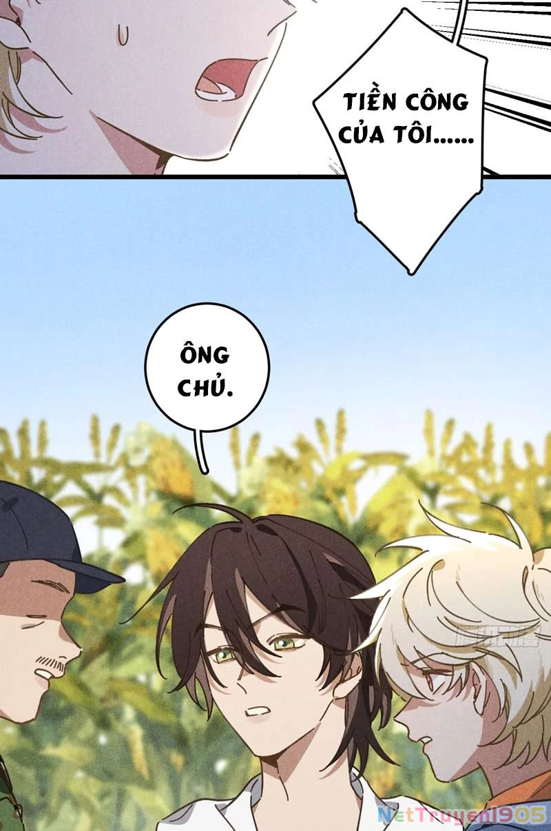 Tôi Không Cùng Anh Đến Vùng Đất Bắp Ngô Đâu! Chapter 19 - 24