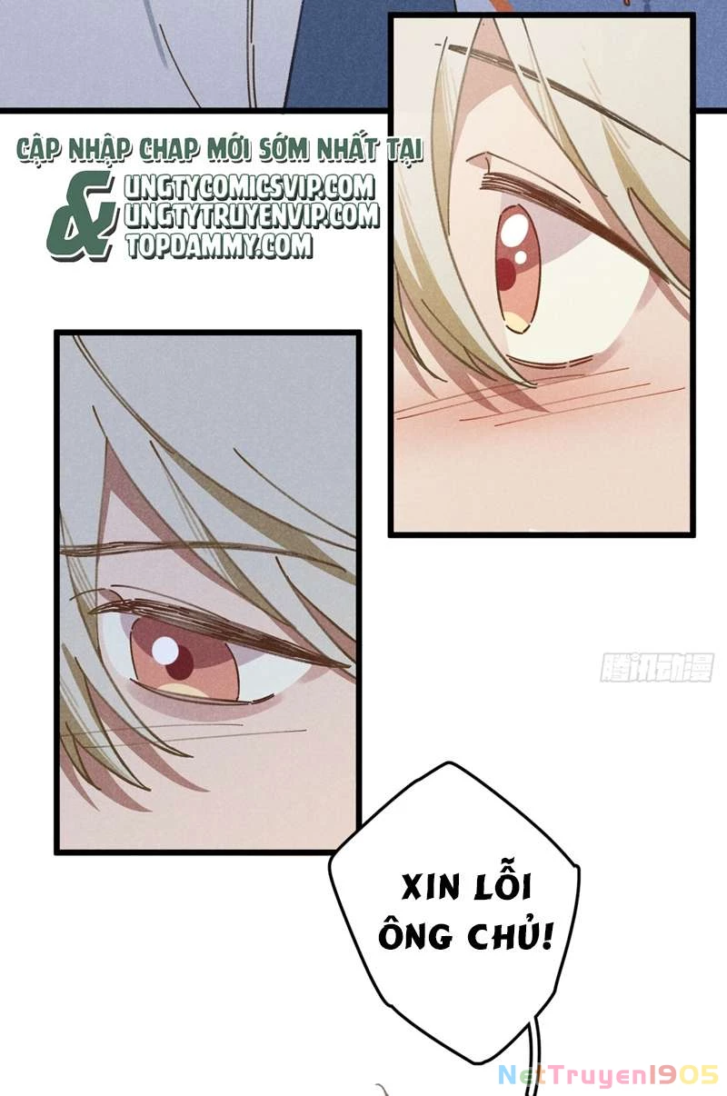 Tôi Không Cùng Anh Đến Vùng Đất Bắp Ngô Đâu! Chapter 19 - 27