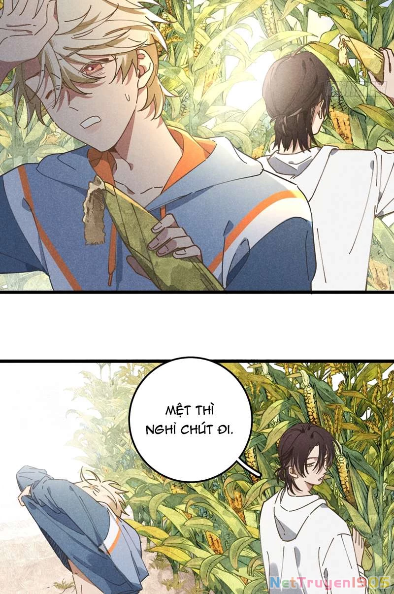 Tôi Không Cùng Anh Đến Vùng Đất Bắp Ngô Đâu! Chapter 19 - 30