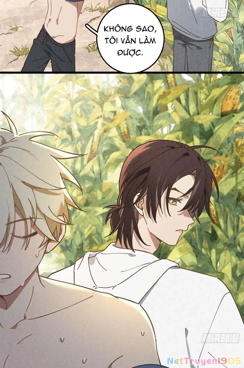 Tôi Không Cùng Anh Đến Vùng Đất Bắp Ngô Đâu! Chapter 19 - 31