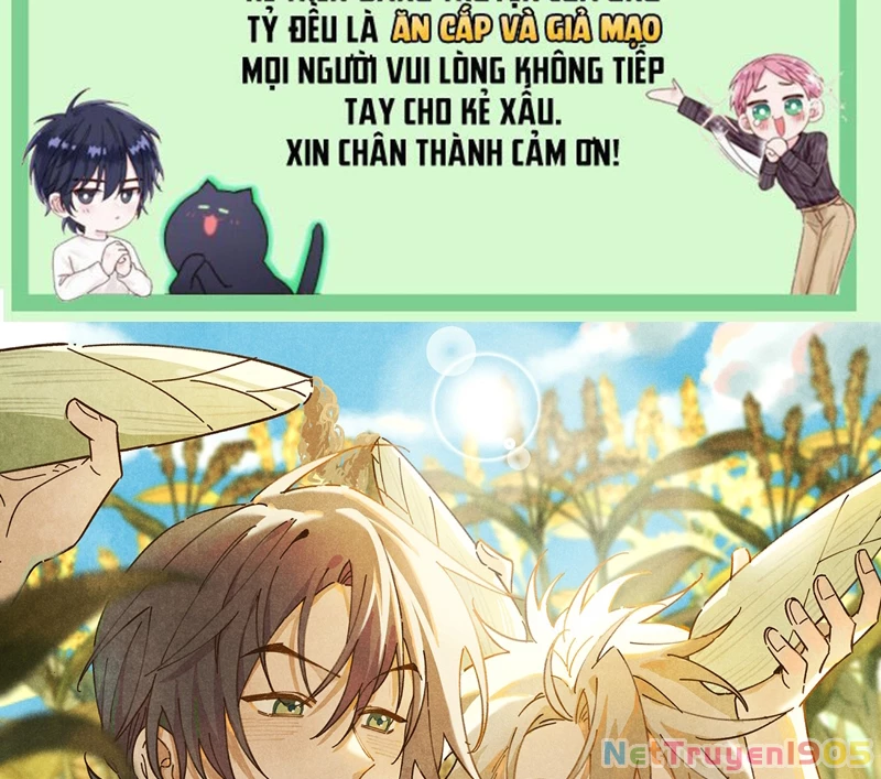 Tôi Không Cùng Anh Đến Vùng Đất Bắp Ngô Đâu! Chapter 20 - 1