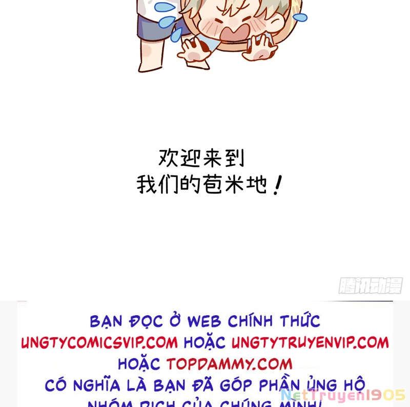 Tôi Không Cùng Anh Đến Vùng Đất Bắp Ngô Đâu! Chapter 20 - 58