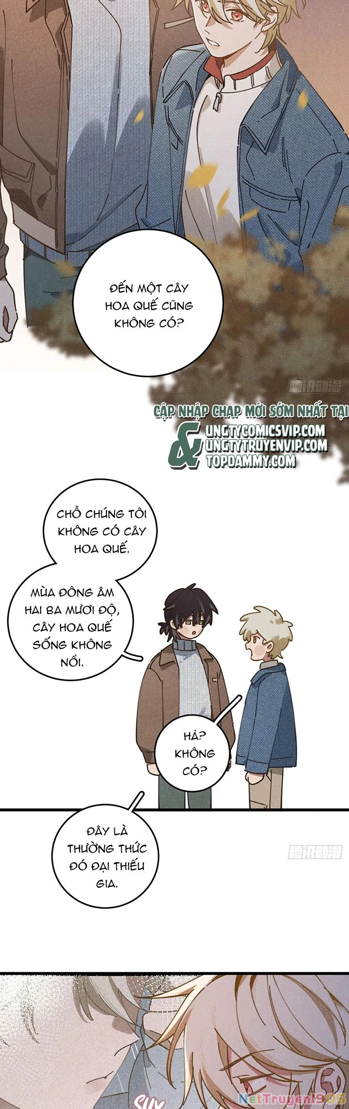 Tôi Không Cùng Anh Đến Vùng Đất Bắp Ngô Đâu! Chapter 25 - 18