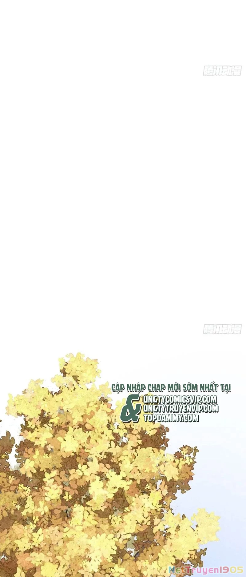 Tôi Không Cùng Anh Đến Vùng Đất Bắp Ngô Đâu! Chapter 27 - 22