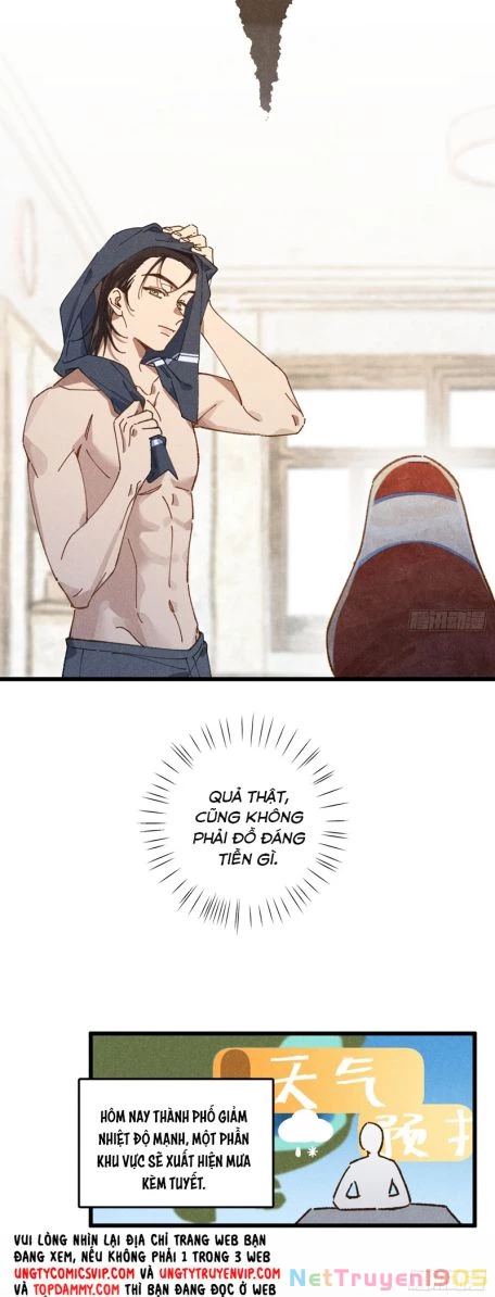 Tôi Không Cùng Anh Đến Vùng Đất Bắp Ngô Đâu! Chapter 31 - 8