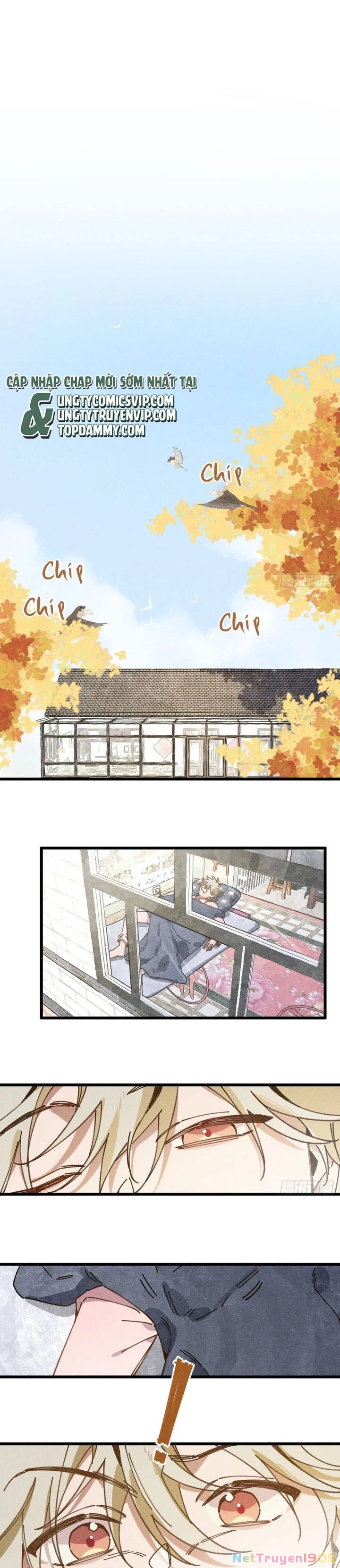 Tôi Không Cùng Anh Đến Vùng Đất Bắp Ngô Đâu! Chapter 34 - 11