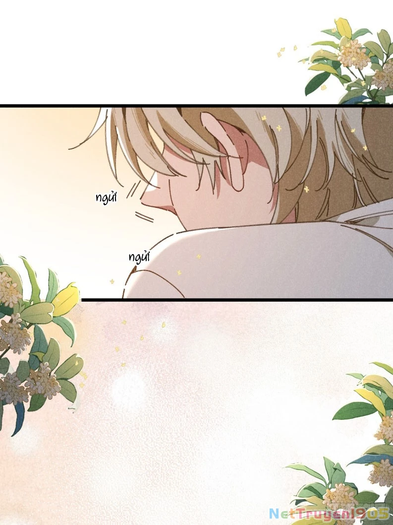 Tôi Không Cùng Anh Đến Vùng Đất Bắp Ngô Đâu! Chapter 35 - 43